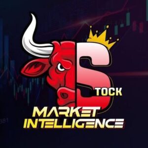THE STOCK MARKET INTELLIGENCE